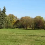 Gästehaus Roggenbuck - Potsdam Marquardt - Wiese im Park mit Mischwald