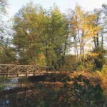 Gästehaus Roggenbuck - Potsdam Marquardt - ParkBrücke über kleinen Fluss im Laubwald