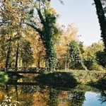 Gästehaus Roggenbuck - Potsdam Marquardt - ParkBrücke über kleinen Fluss im Laubwald mit Efeu