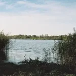 Gästehaus Roggenbuck - Potsdam Marquardt -schöne Seenlandschaft mit Schilf