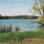 Gästehaus Roggenbuck - Potsdam Marquardt -schöne Seenlandschaft mit bewachsenem Ufer