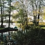 Gästehaus Roggenbuck - Potsdam Marquardt -schöne Seenlandschaft mit verschiedenen Baumarten am Ufer dicht bewachsen