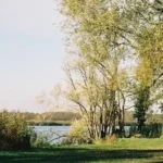 Gästehaus Roggenbuck - Potsdam Marquardt - Uferlandschaft am See