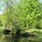 Gästehaus Roggenbuck - Potsdam Marquardt -Parkbrücke über kleines Gewässer mitten im Grünen