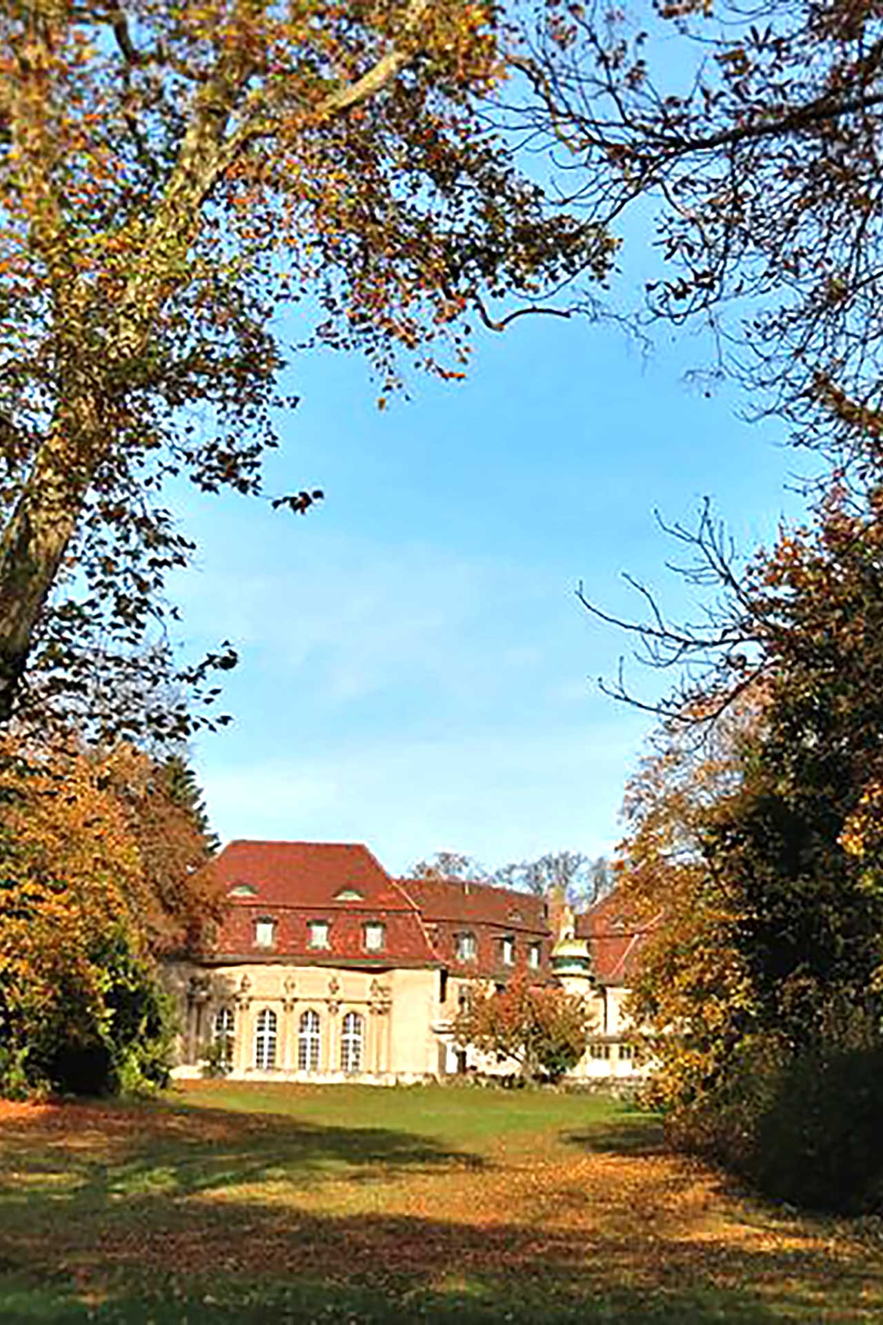 Gästehaus Roggenbuck - Potsdam Marquardt - Schloss Marquardt mitten im Park - Ansicht mit Park