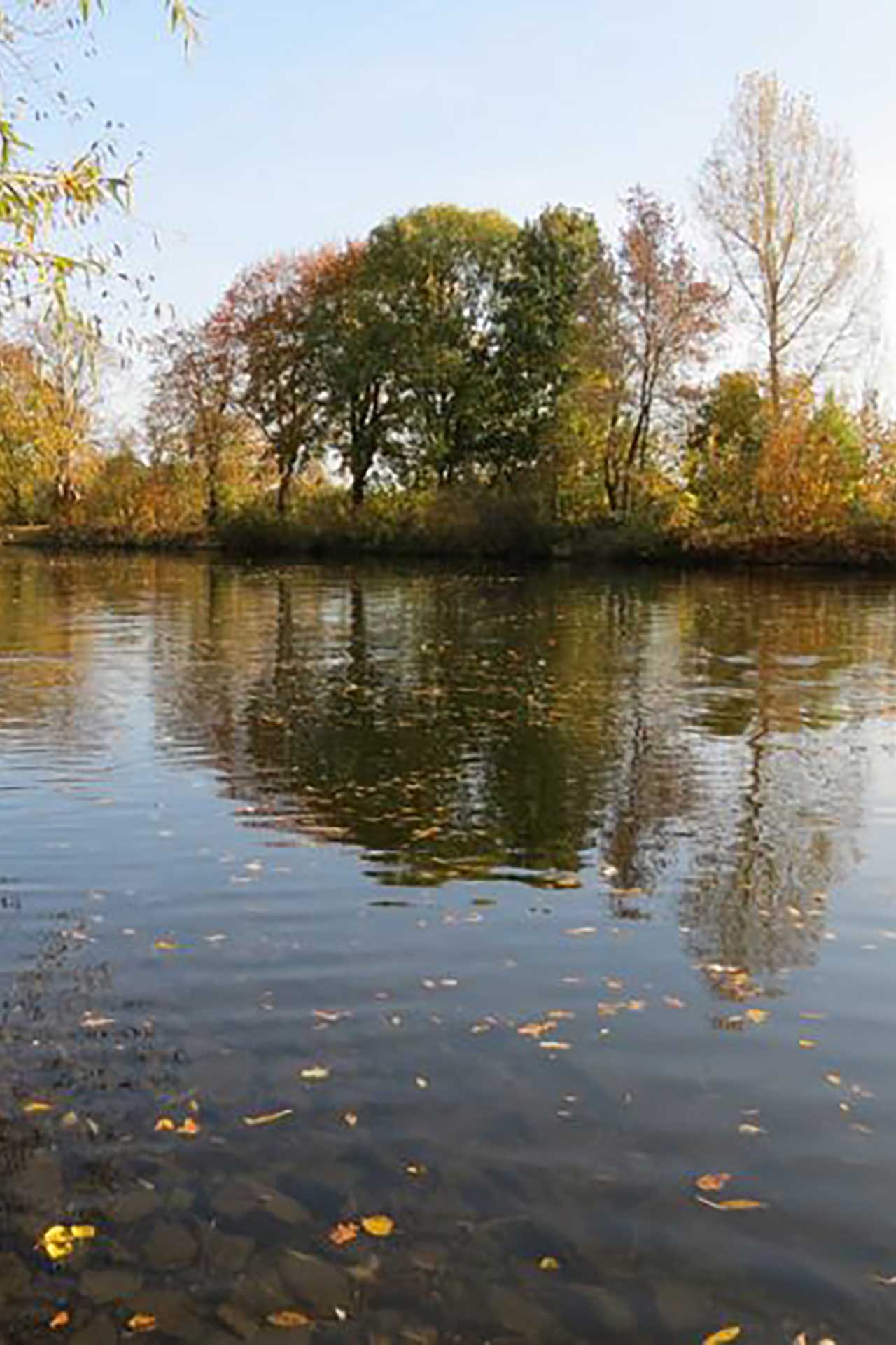 Landschaft See bei Potsdam